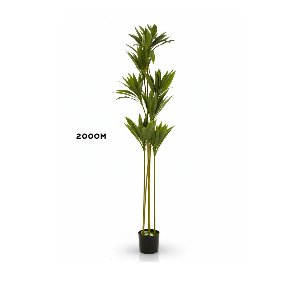 Artificial Dracaena Plant IDC241-A15