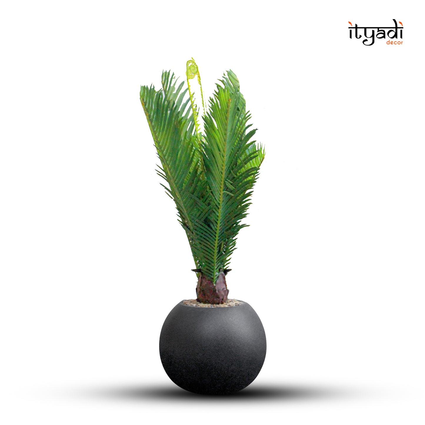 Designer Artificial Greens IDC202-A15