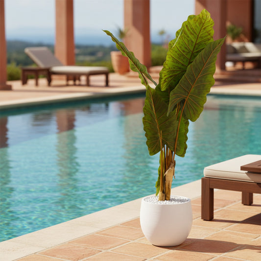 Artificial Alocasia Plant IDC241-A13