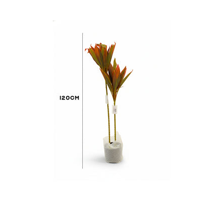 Artificial Cordyline Plant IDC241-A11