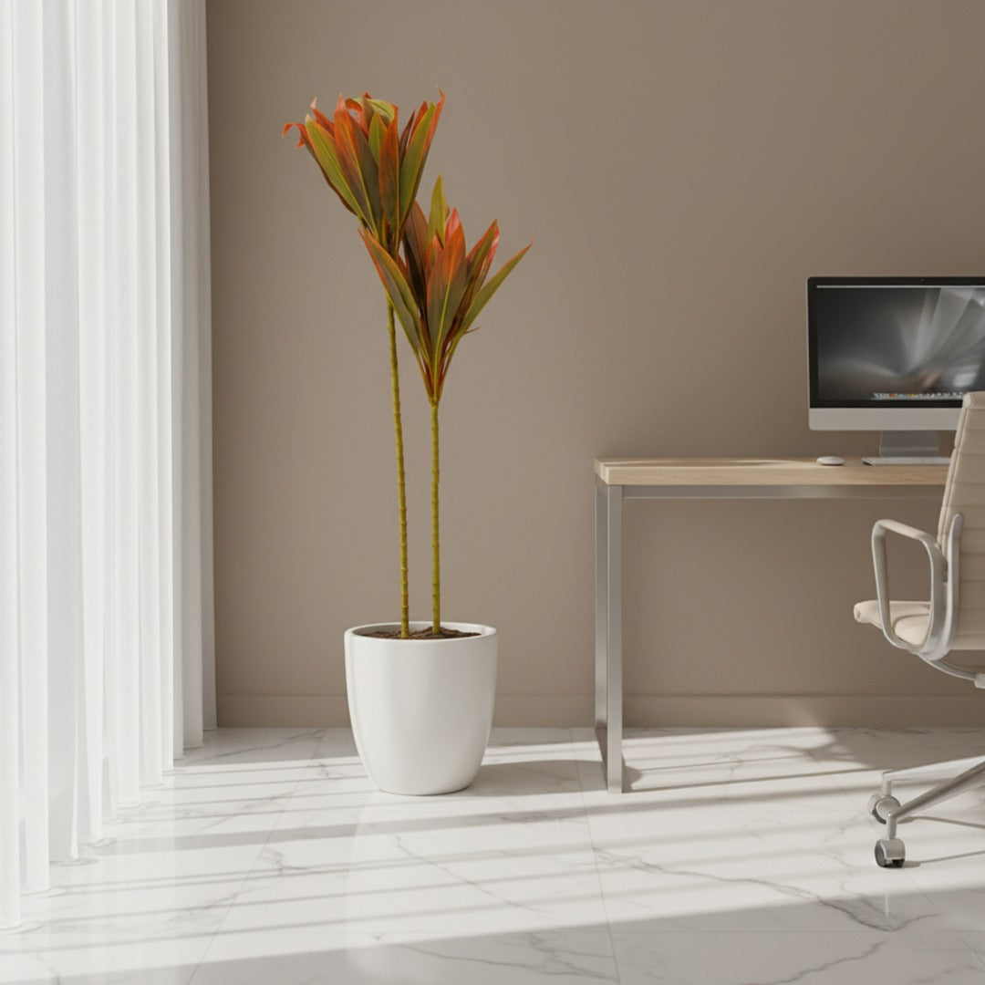 Artificial Cordyline Plant IDC241-A11