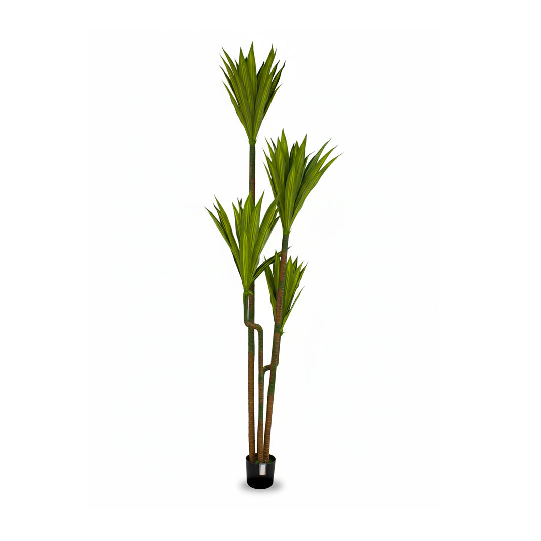 Artificial Dracaena Plant IDC241-A12