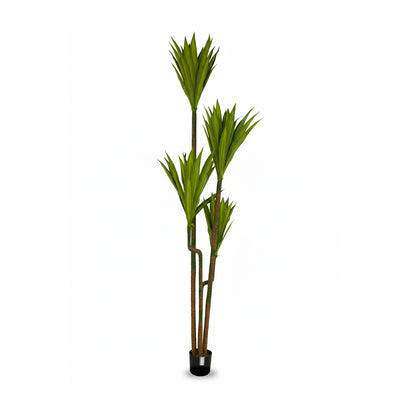 Artificial Dracaena Plant IDC241-A12