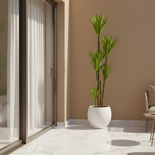 Artificial Dracaena Plant IDC241-A12