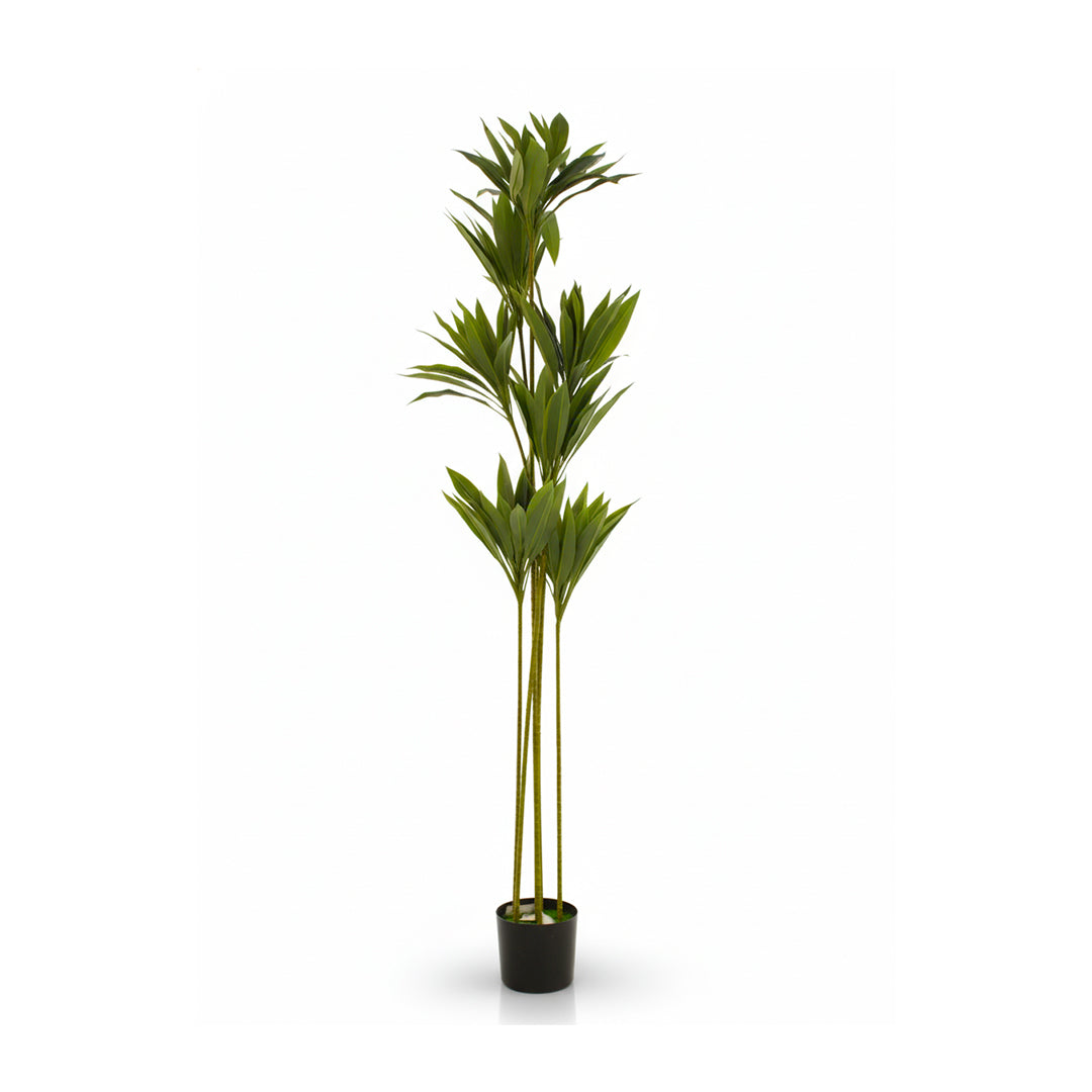 Artificial Dracaena Plant IDC241-A15