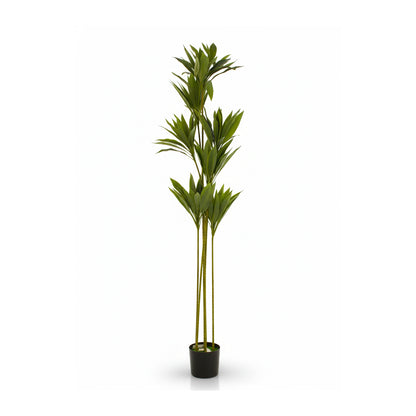 Artificial Dracaena Plant IDC241-A15