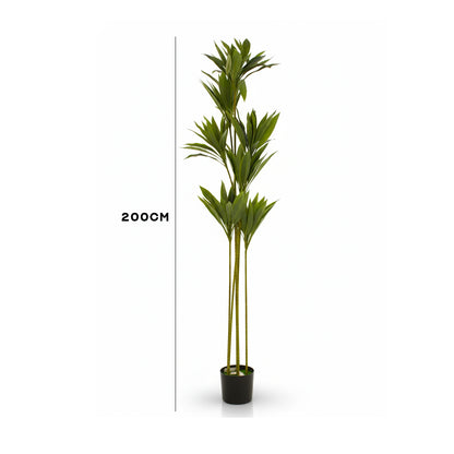 Artificial Dracaena Plant IDC241-A15