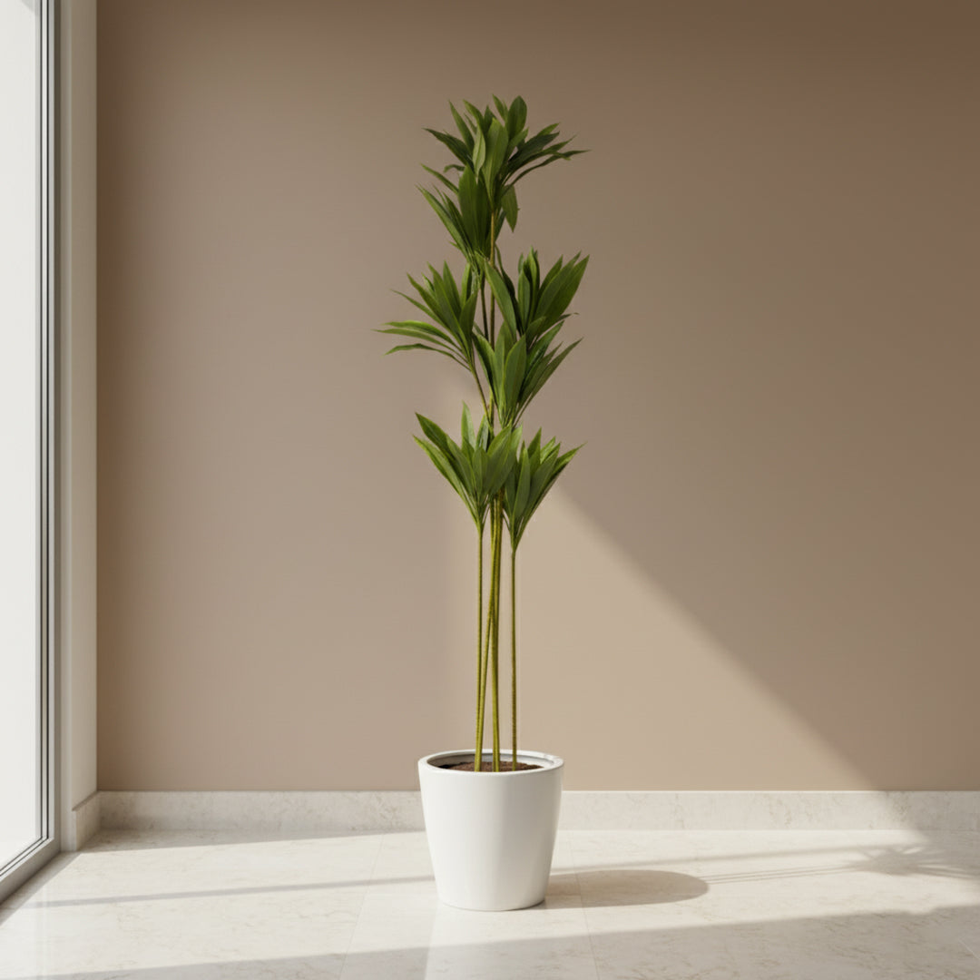 Artificial Dracaena Plant IDC241-A15