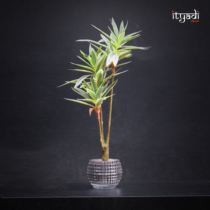 Designer Artificial Greens IDC202-A10