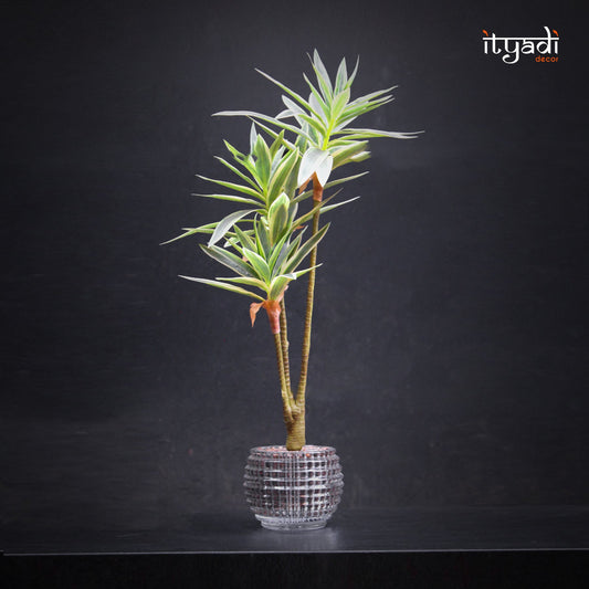 Designer Artificial Greens IDC202-A10