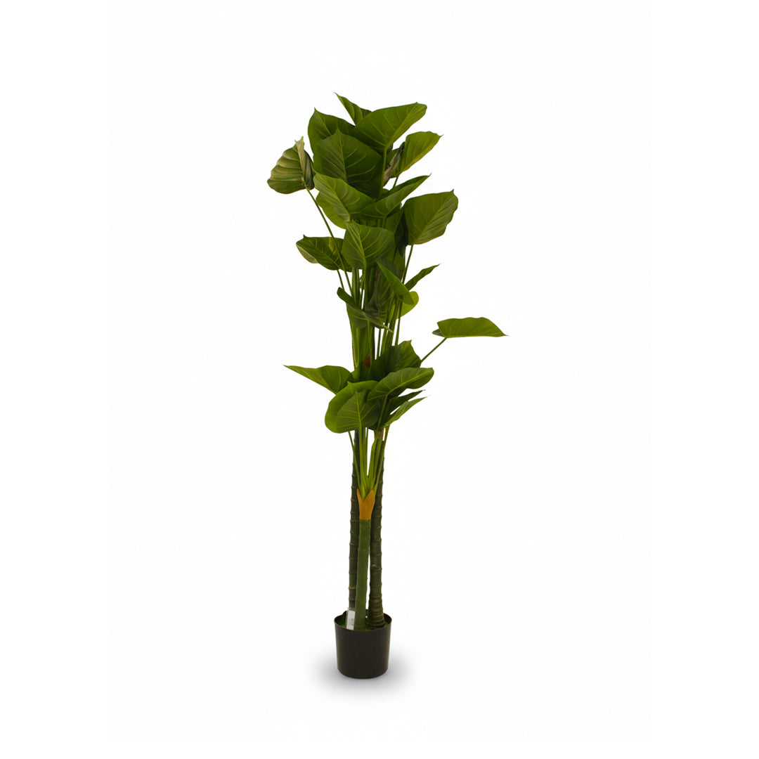 Banana Leaf Artificial Plant IDC241-A3