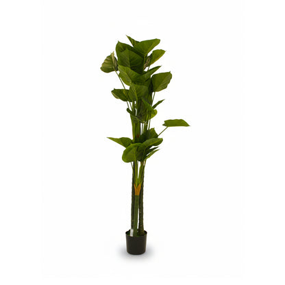 Banana Leaf Artificial Plant IDC241-A3