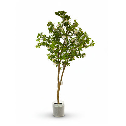 Artificial Green Ficus Plant  IDC241-A9