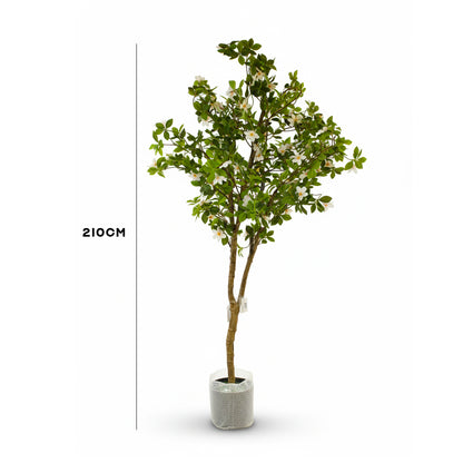 Artificial Green Ficus Plant  IDC241-A9