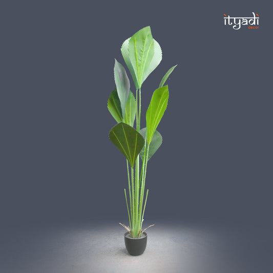Designer Artificial Greens IDC202-A23