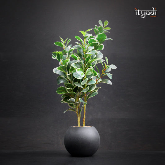Designer Artificial Greens IDC202-A4