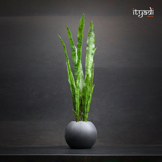 Designer Artificial Greens IDC202-A9