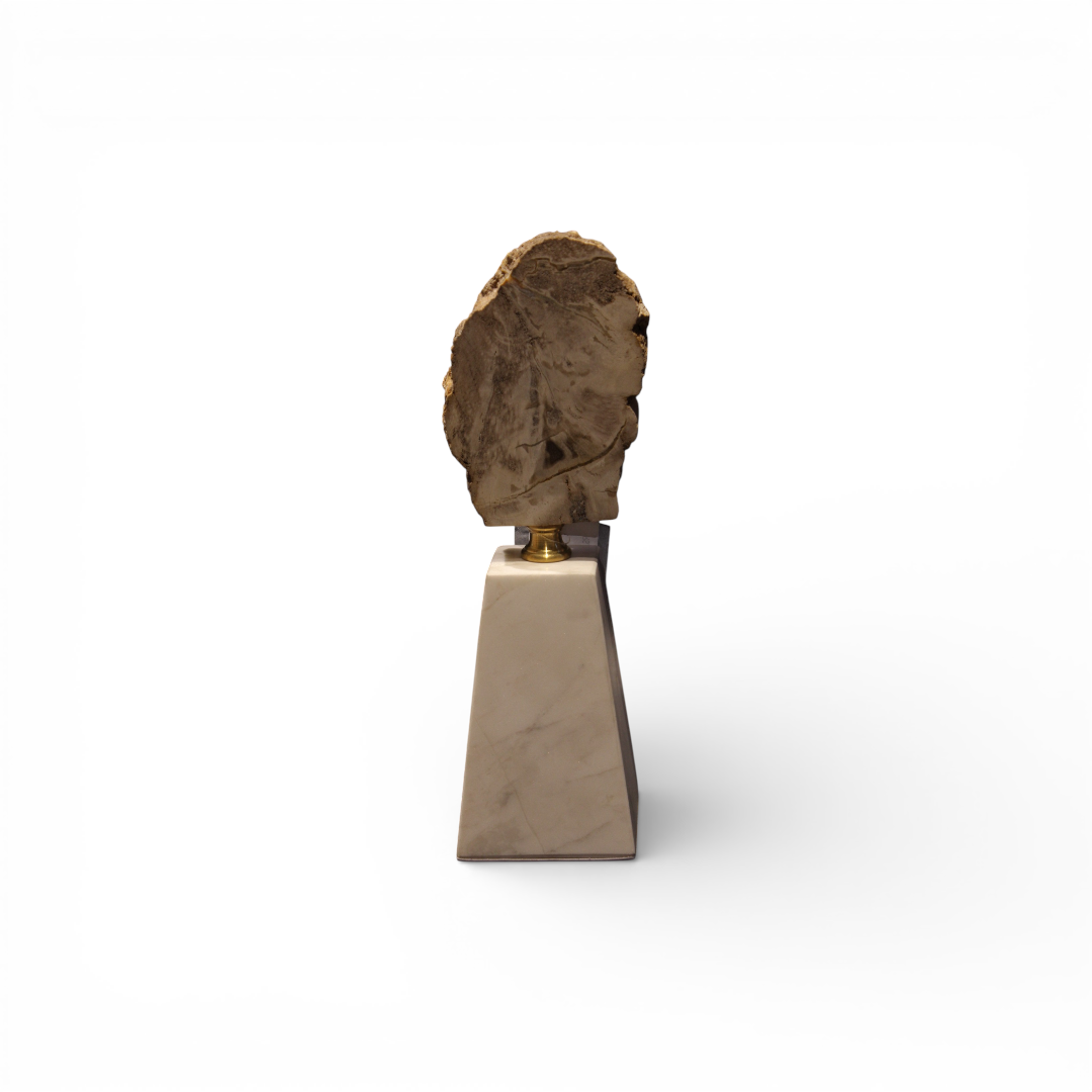 Designer Showpiece IDC44-A84