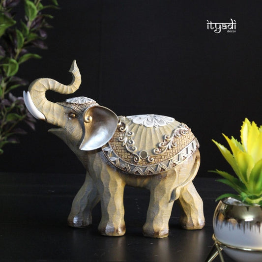 Designer Tusker IDC186-A3