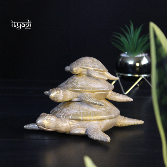 Designer Turtles IDC155-A14