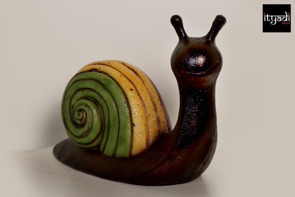 The Colorful Shell Snail