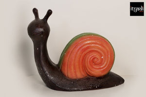 The Colorful Shell Snail