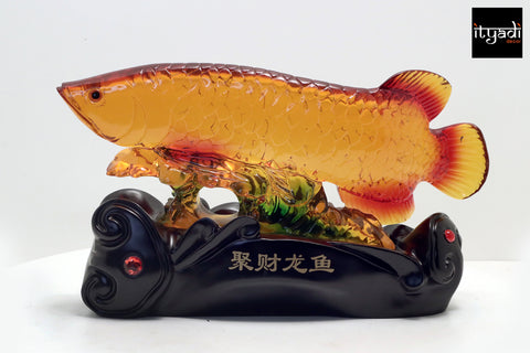 The Feng Shui Fish